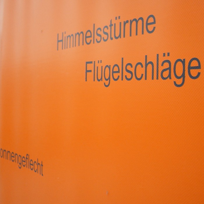 Himmelsstürme, Flügelschläge, Sonnengeflecht
