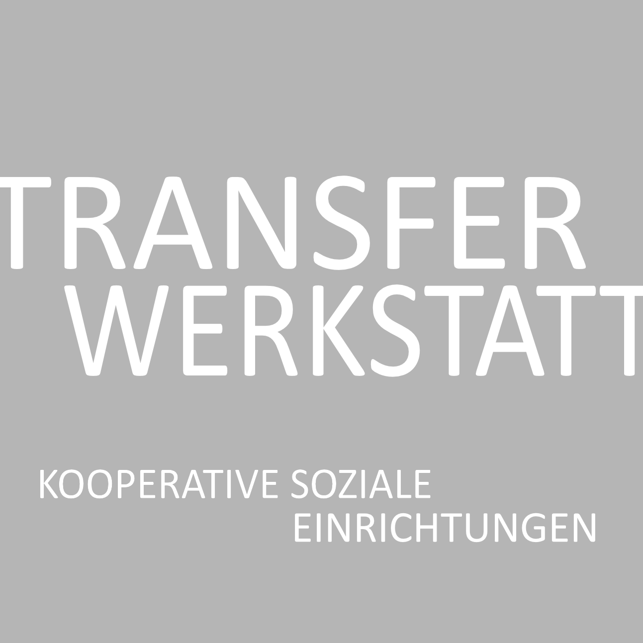 Transferwerkstatt Kooperative soziale Einrichtungen